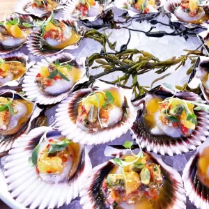 Water Grill – Las Vegas