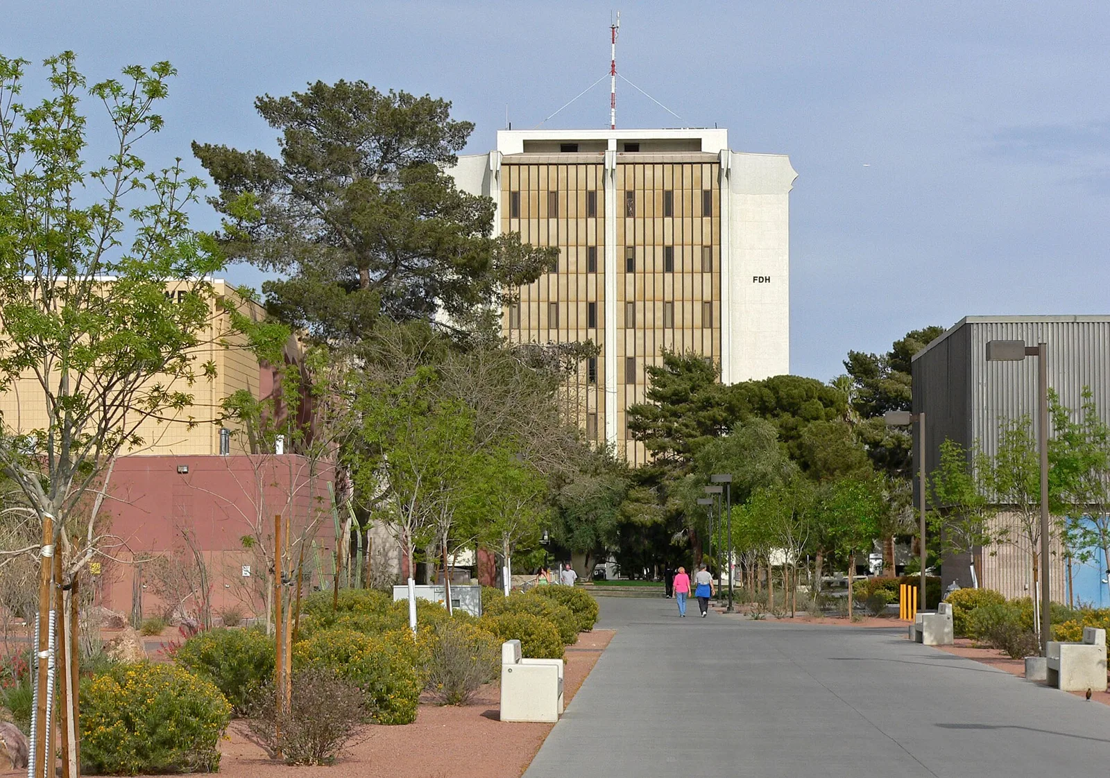 A wide campus walkway on the UNLV campus lined with young trees, shrubs and lamp posts, with a tall academic building behind