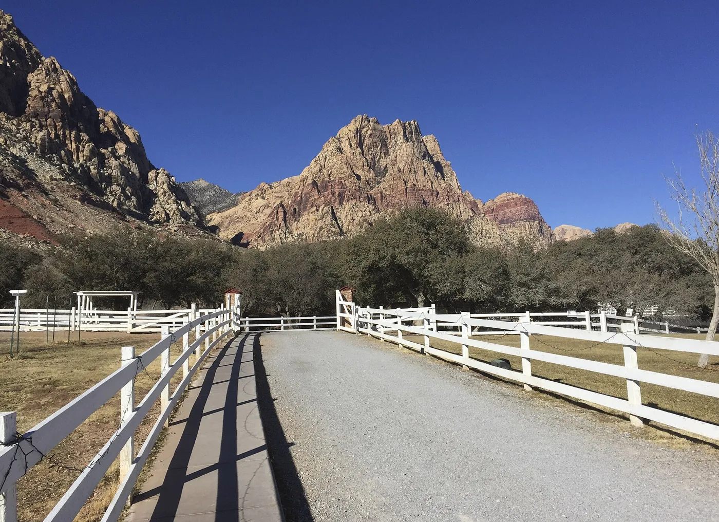 A gravel lane between white ranch fences leading toward a stand of trees under red and tan cliffs and a clear blue sky
